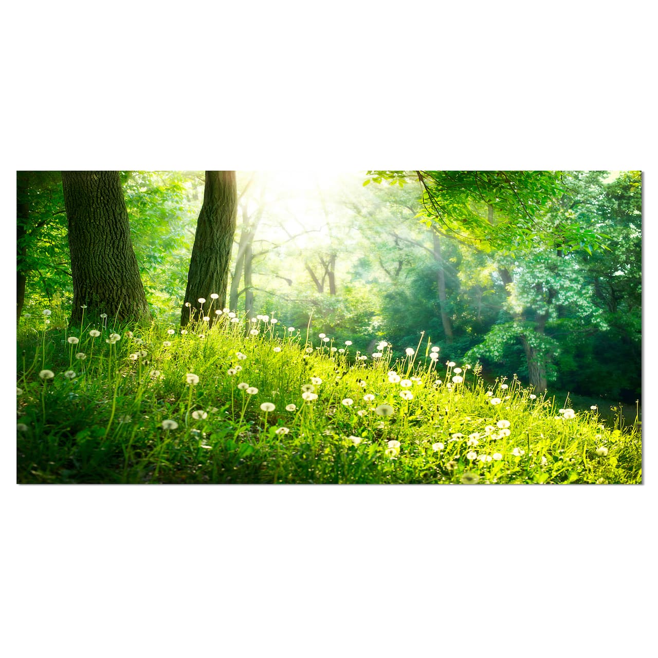 Designart - Beautiful Green Grass and Trees - Large Landscape Canvas Art Print